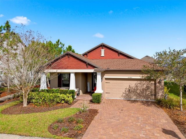 12383 FITZROY STREET, Odessa, FL 33556