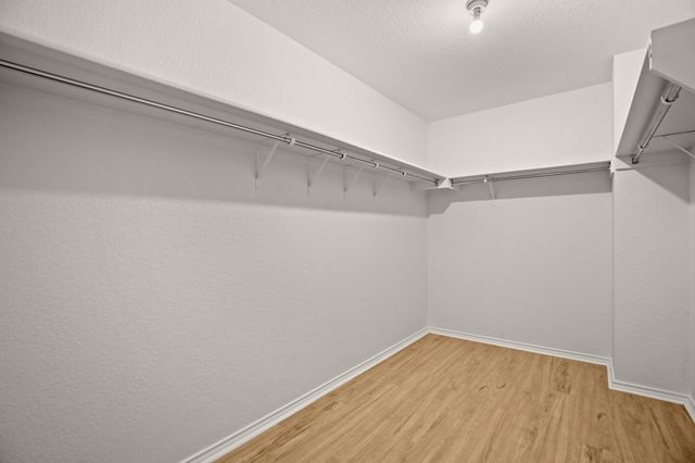 600 Sheep Trail DR, Kyle, TX 78640