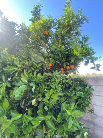 39674 Baldi Court, Cherry Valley, CA 92223