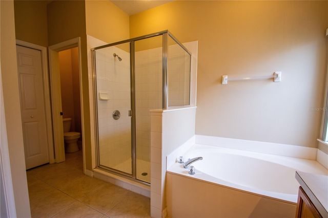 421 LOCKBREEZE DRIVE, Davenport, FL 33897