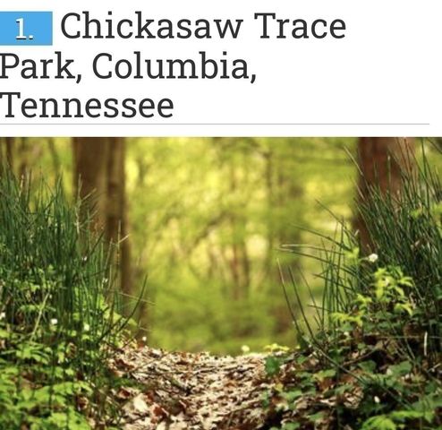 2319 Juneau Lane, Columbia, TN 38401