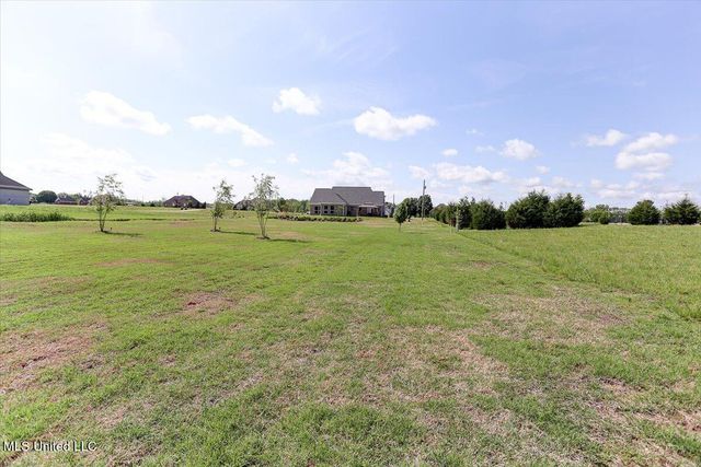 179 Palomino, Holly Springs, MS 38635