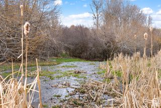 5337 E MAPLE CREEK RD # 1, Franklin, ID 83237