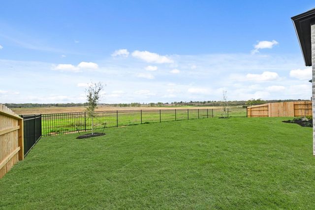 1203 Basset Hound Drive, Montgomery, TX 77316
