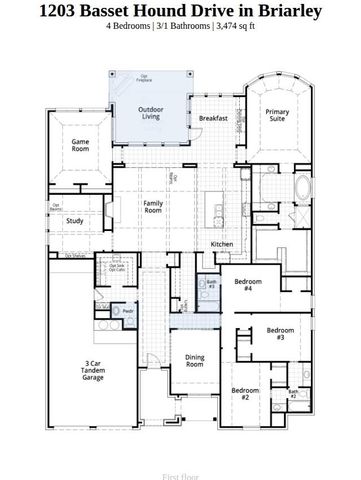 1203 Basset Hound Drive, Montgomery, TX 77316
