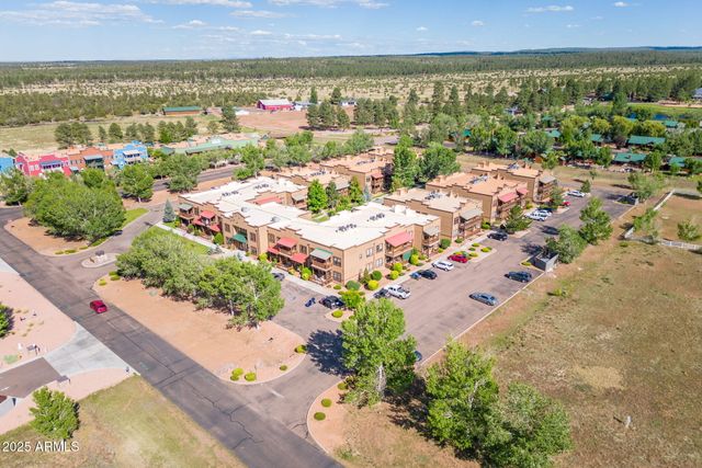 2407 Quarter Horse Trail 131, Overgaard, AZ 85933