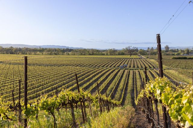 2875 Woolsey Rd, Windsor, CA 95492