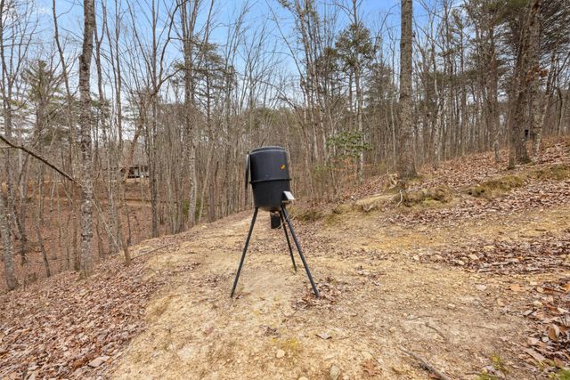 1042 Rocky Top Lane, Sale Creek, TN 37373