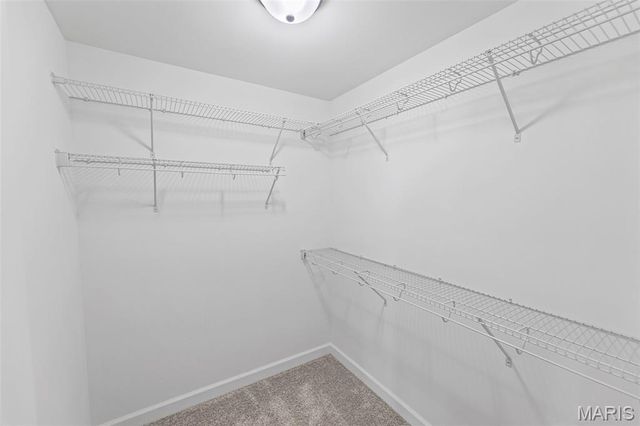 1009 Waymaker Lane, Waterloo, IL 62298
