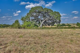 44 Acres Ganske Road, Burton, TX 77835