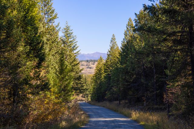 Nhn Gut Creek Road, Eureka, MT 59917 property photo