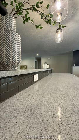 3811 CARTER CREEK, Bryan, TX 77802