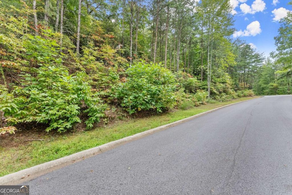 0 Yates Circle #358, Clarkesville, GA 30523 — photo 2