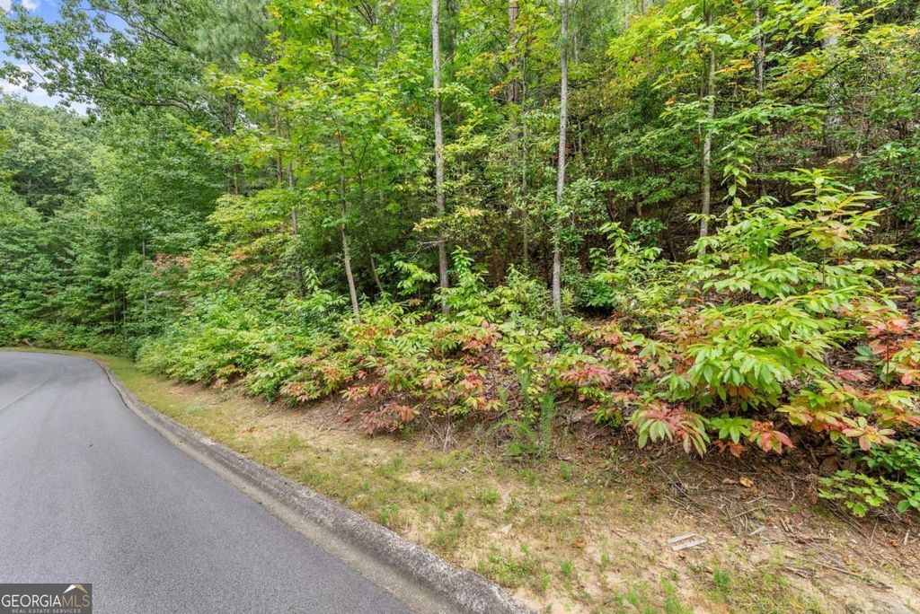 0 Yates Circle #358, Clarkesville, GA 30523 — photo 3