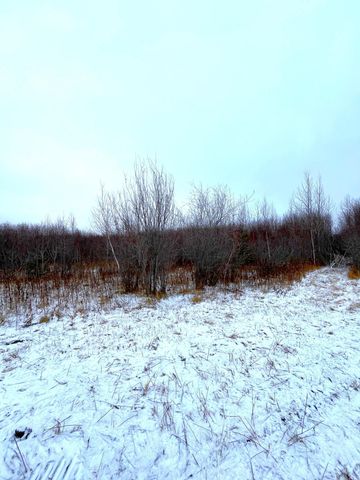Lot 3 - TBD 330th Street, Warroad, MN 56763