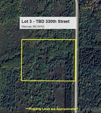 Lot 3 - TBD 330th Street, Warroad, MN 56763