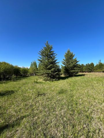 Lot 3 - TBD 330th Street, Warroad, MN 56763