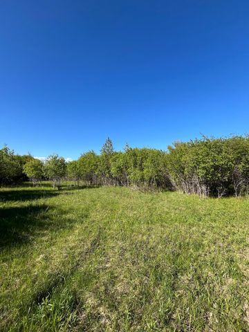 Lot 3 - TBD 330th Street, Warroad, MN 56763