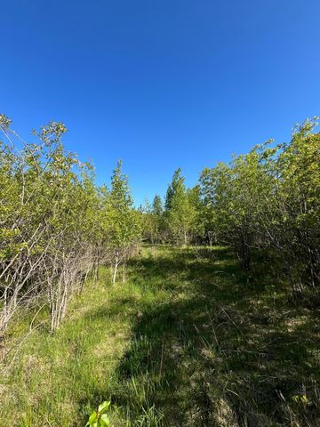 Lot 3 - TBD 330th Street, Warroad, MN 56763
