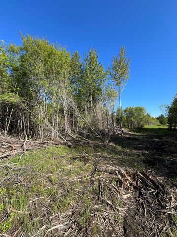Lot 3 - TBD 330th Street, Warroad, MN 56763