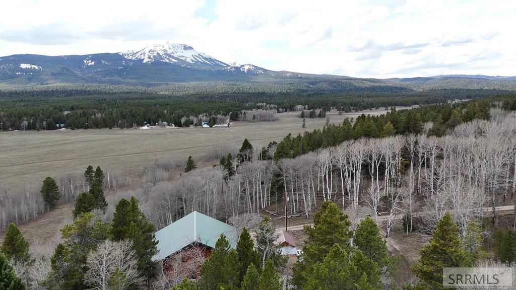 Image 29 of property listing at 4779 Pinion Street, Island Park, ID 83429