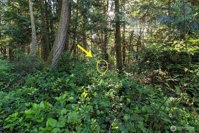 0 Lots 3&4 Grant Street, Port Townsend, WA 98368