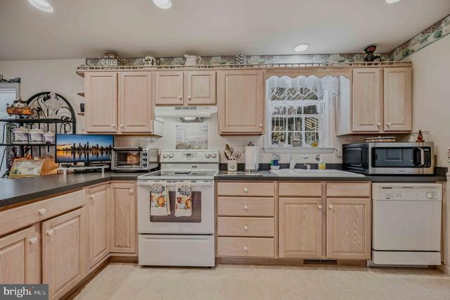 300 PINTAIL DR, Millsboro, DE 19966