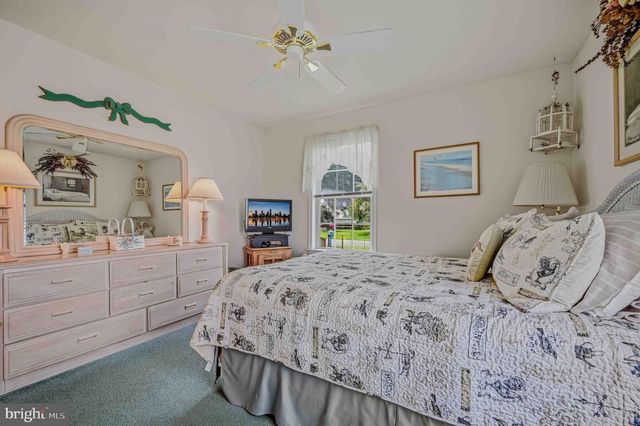 300 PINTAIL DR, Millsboro, DE 19966
