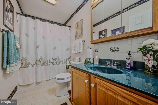300 PINTAIL DR, Millsboro, DE 19966