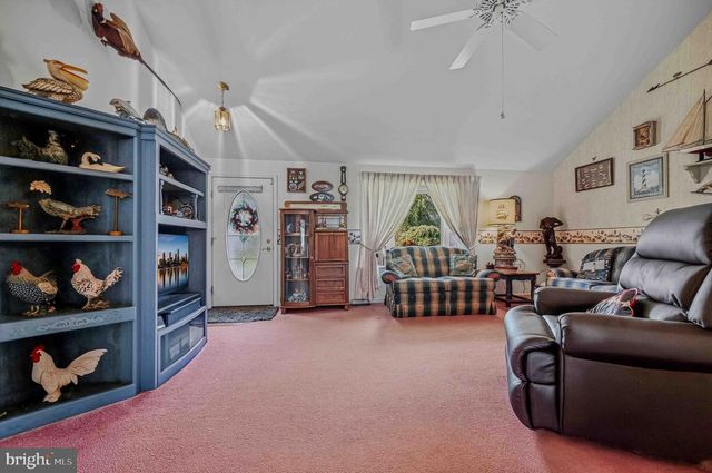 300 PINTAIL DR, Millsboro, DE 19966