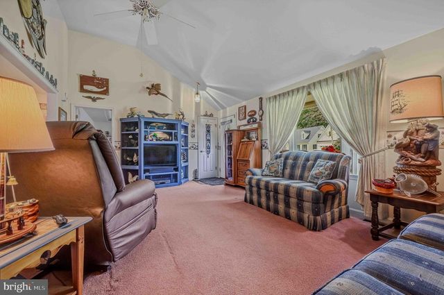 300 PINTAIL DR, Millsboro, DE 19966