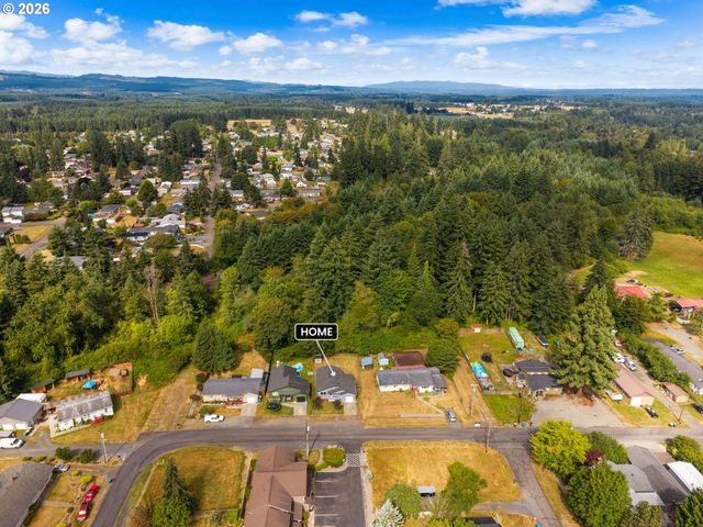 713 1ST Ave Ne, Napavine, WA 98565