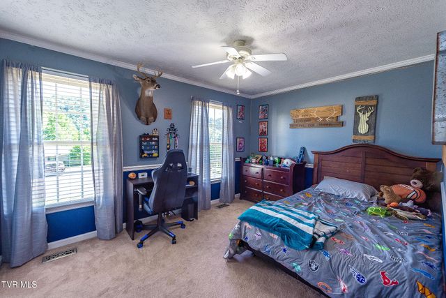 850 Topeka Drive, Mount Carmel, TN 37645