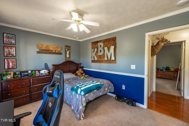 850 Topeka Drive, Mount Carmel, TN 37645