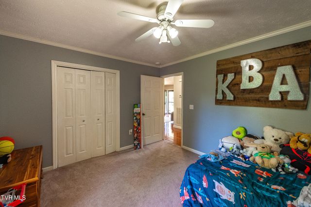 850 Topeka Drive, Mount Carmel, TN 37645