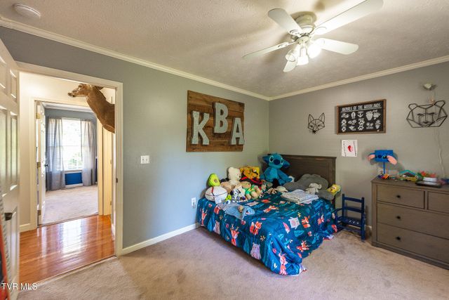 850 Topeka Drive, Mount Carmel, TN 37645