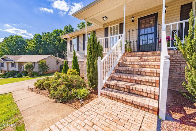 850 Topeka Drive, Mount Carmel, TN 37645