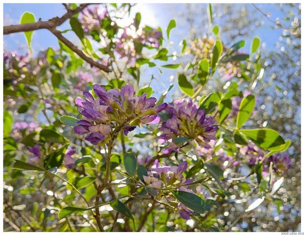 10219 Rafter O, Helotes, TX 78023