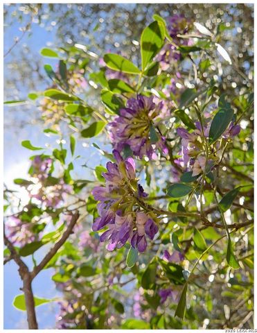 10219 Rafter O, Helotes, TX 78023