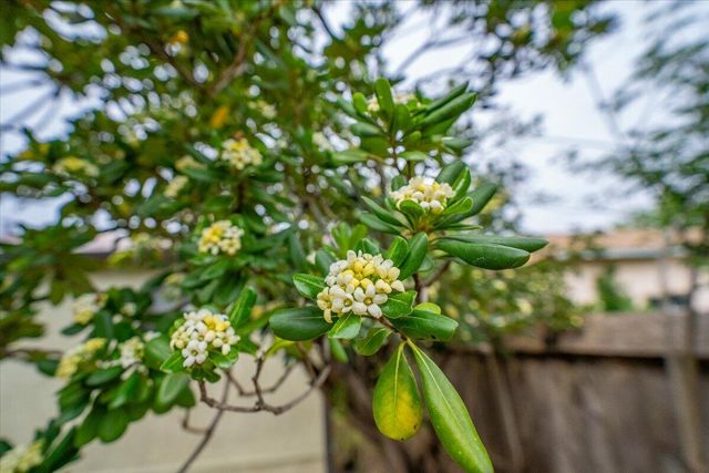 920 Dumosa Drive, Red Bluff, CA 96080