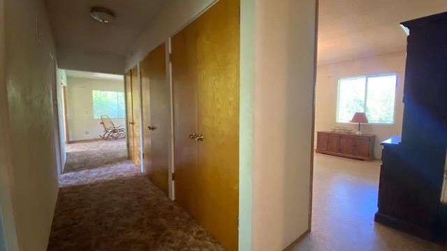 333 W Park Street, Grants Pass, OR 97527