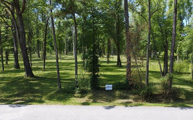 TBD Crowley Road, Conroe, TX 77301