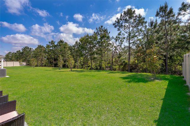 3390 SANCTUARY DRIVE, Clermont, FL 34714