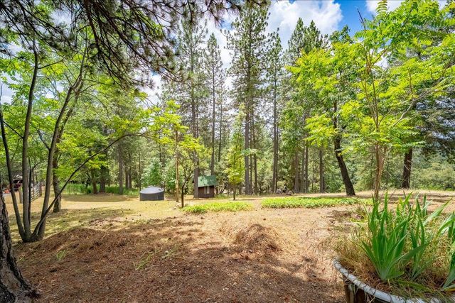3951 Jacobus Dr, Garden Valley, CA 95633