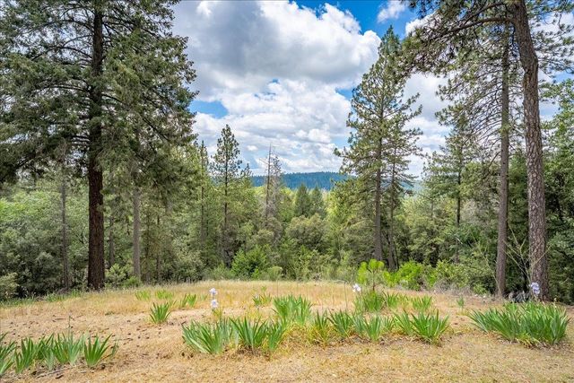 3951 Jacobus Dr, Garden Valley, CA 95633
