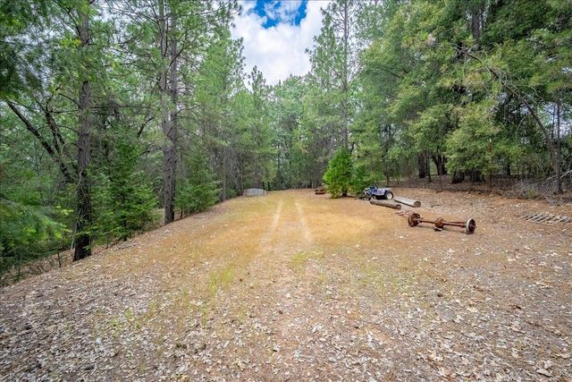3951 Jacobus Dr, Garden Valley, CA 95633