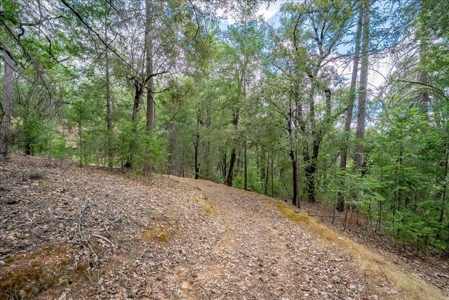3951 Jacobus Dr, Garden Valley, CA 95633