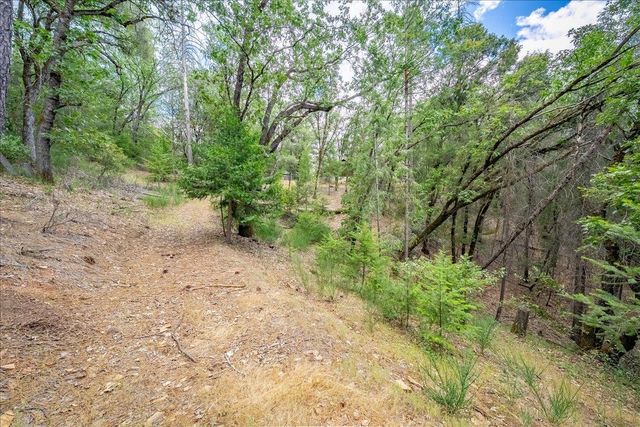 3951 Jacobus Dr, Garden Valley, CA 95633