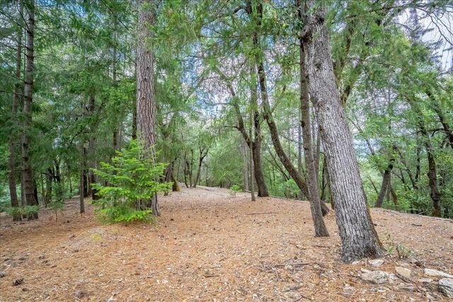 3951 Jacobus Dr, Garden Valley, CA 95633