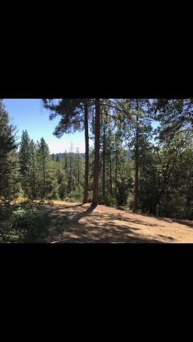 3951 Jacobus Dr, Garden Valley, CA 95633